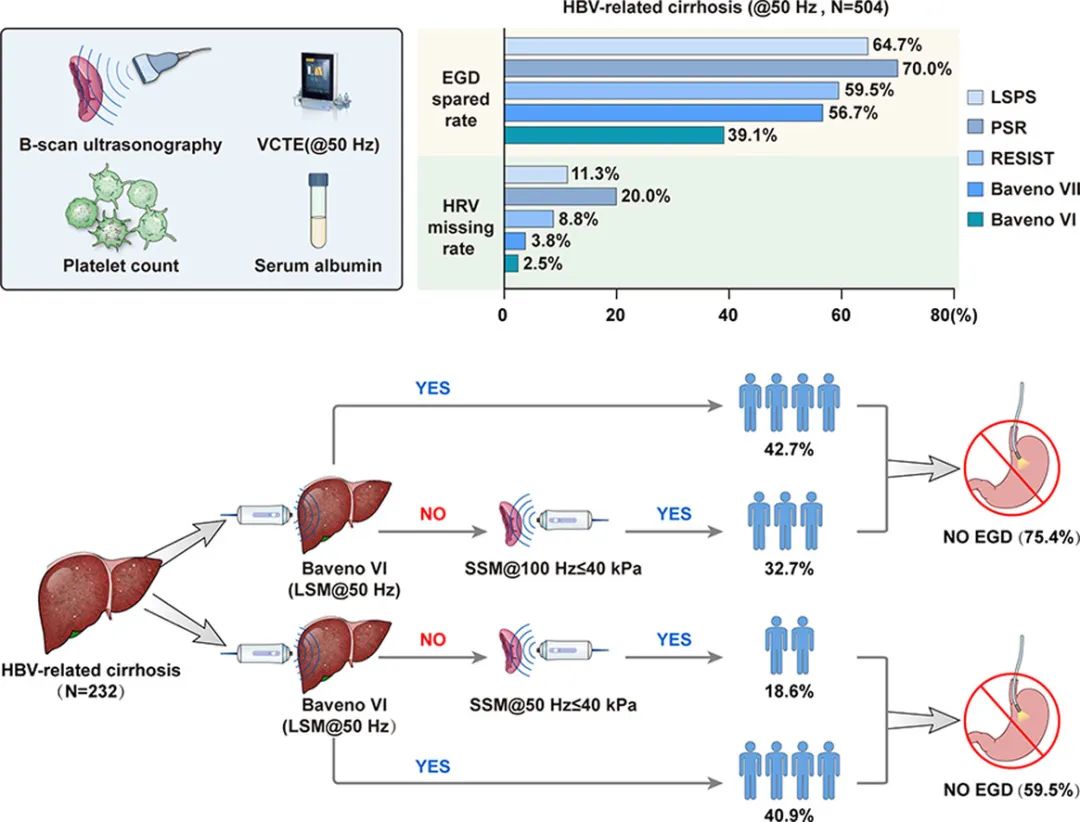 JOH丨南方醫科大學陳金軍教授團隊：脾臟硬度測量可減少75%慢乙肝肝硬化的胃鏡篩查