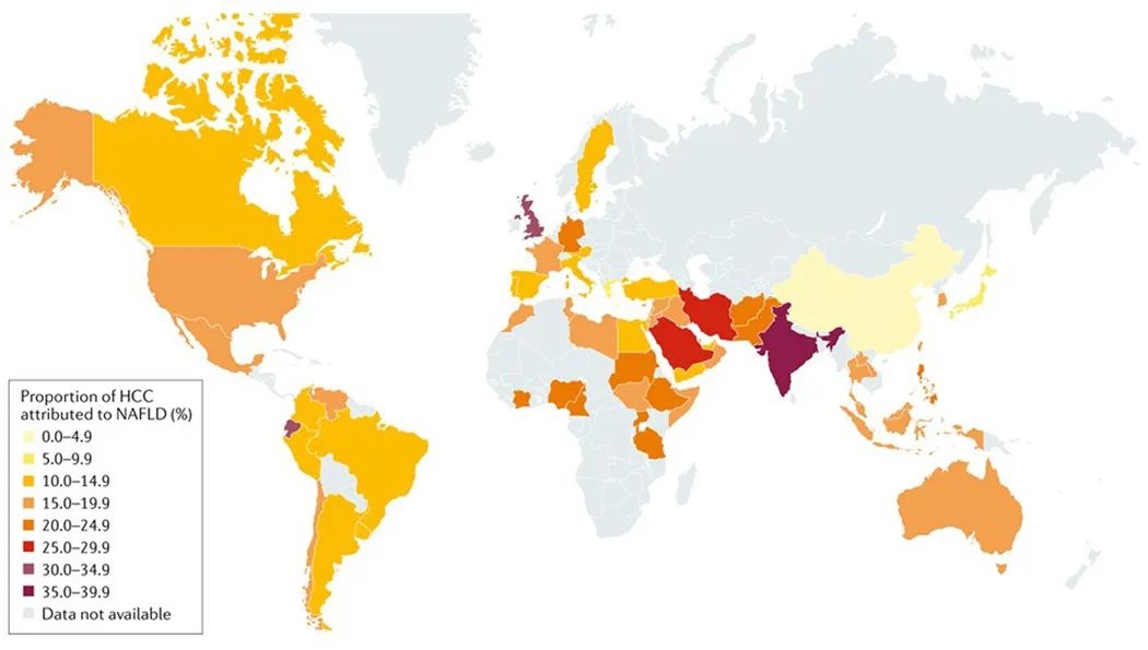 Nature 綜述：中國脂肪肝相關肝癌發病率將升高86%，急需預防！