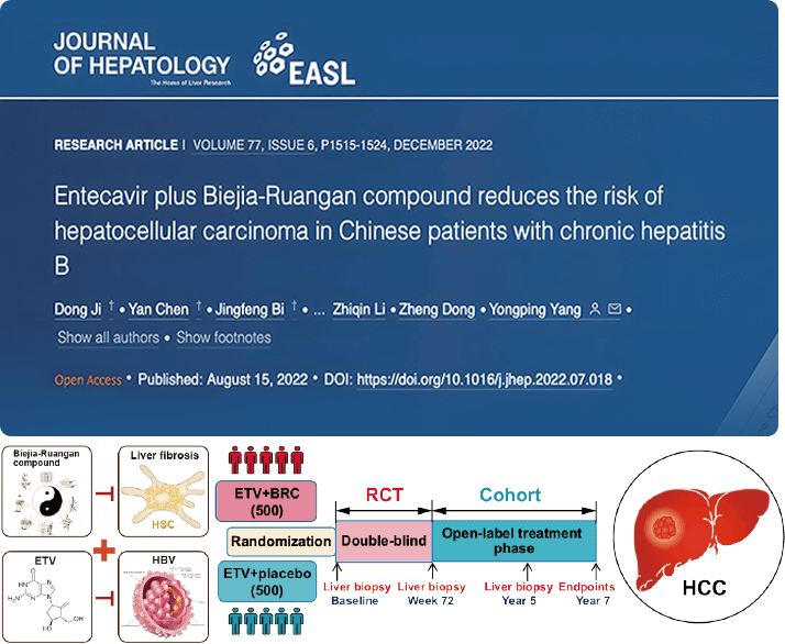 復方鱉甲軟肝片聯合抗病毒藥物治療,可顯著降低肝癌發生
